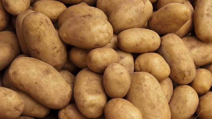 potato